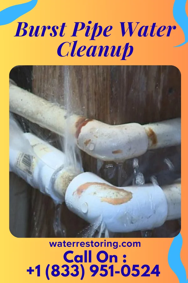 Burst Pipe Water Cleanup in Mount Holly Springs, PA