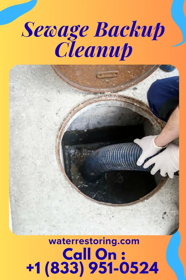 Sewage Backup Cleanup in Mount Holly Springs, PA
